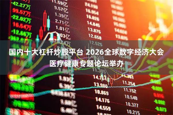 国内十大杠杆炒股平台 2026全球数字经济大会医疗健康专题论坛举办